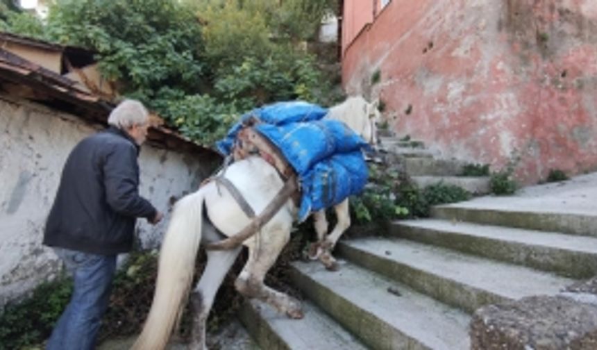 Bursa'da araçların girmediği dar ve dik mahallelere atıyla yük servisi yapıyor