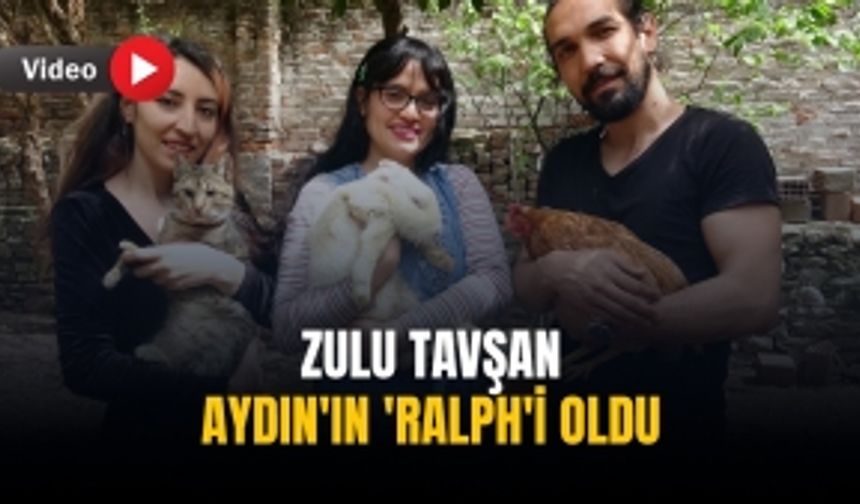 Zulu tavşan Aydın'ın 'Ralph'i oldu