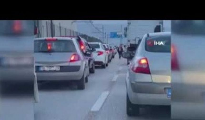 Bursa'da dana trafik kurallarını çiğnedi