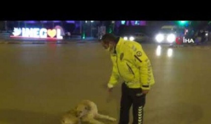 Polis memuruyla köpeğin gülümseten görüntüleri