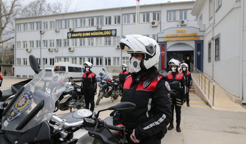 Yunus timleri ansızın karşınıza çıkabilir!