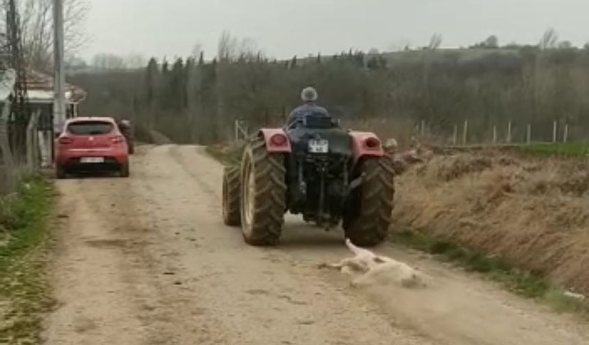 Av tüfeği ile vurduğu köpeği, traktörüyle sürükledi!