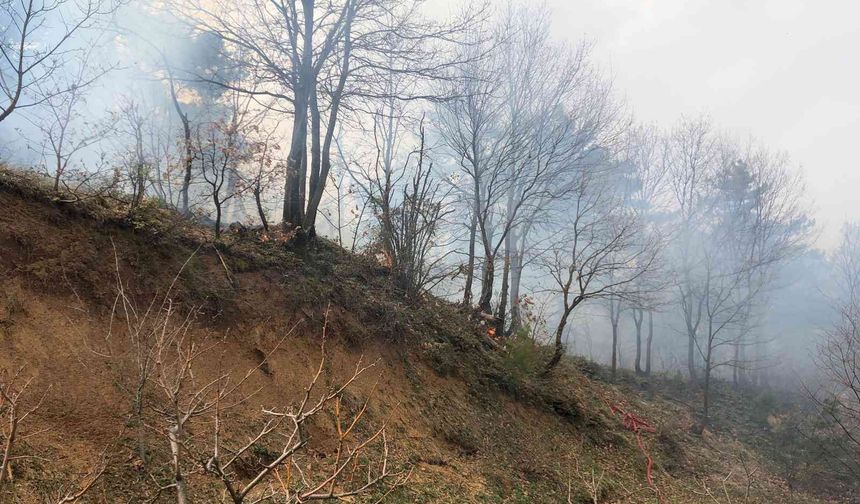 Dağyenice’de çıkan orman yangını şiddetli rüzgâr sebebiyle büyüyor