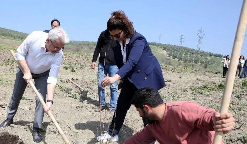 Nilüfer Belediyesi Konaklı Ekoçiftlik Alanı, meyve fidanlarıyla donatıldı!