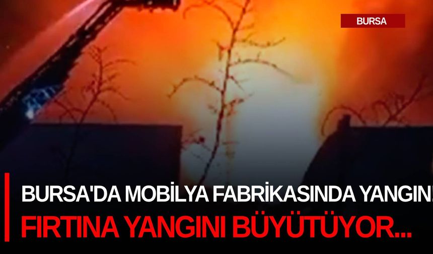 Bursa'da mobilya fabrikasında yangın! Fırtına yangını büyütüyor...