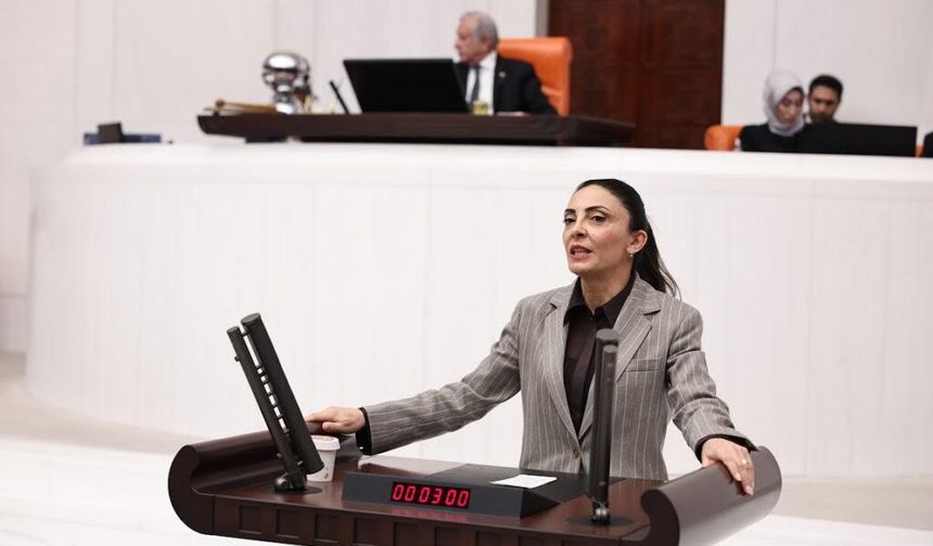 “Sanata Zam, Sanatçıya Baskı”