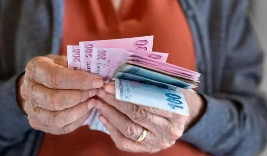 TÜİK emeklinin durumunu rakamlarla açıkladı