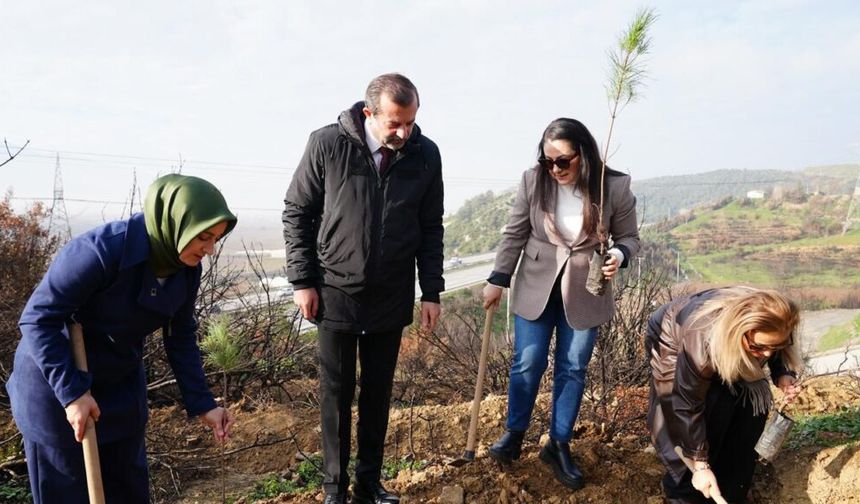 Gürsu Karahıdır Köyü’nde Orman Yangınları Sonrası Fidan Dikim Etkinliği Düzenlendi
