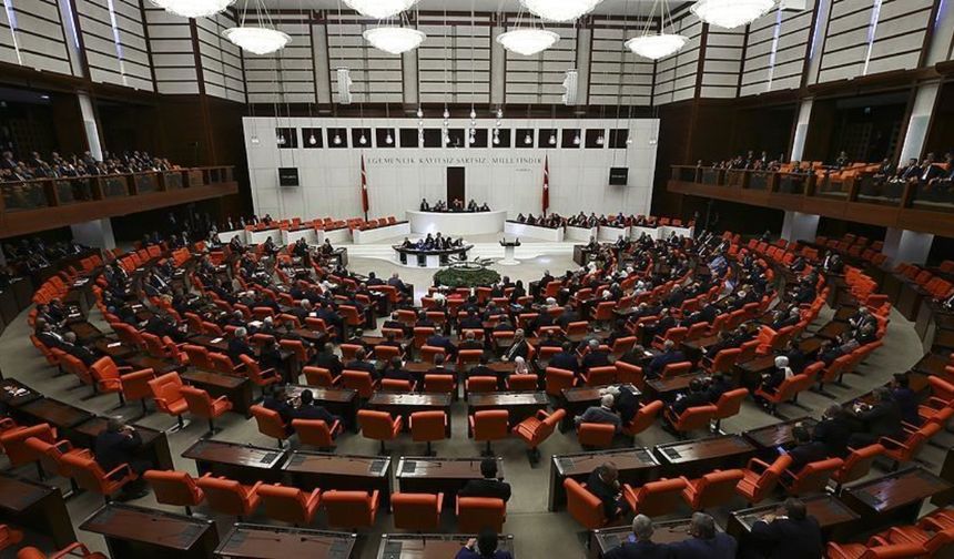 TBMM'ye 2025 yılında en çok dilekçe verilen istek belli oldu