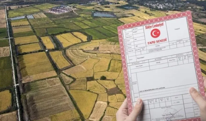 Bu şehirde tapusu olan kira artışından köşeyi döndü